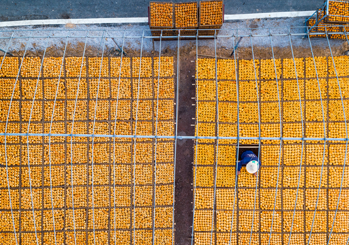 ÷⣺콭աϸġկ԰ɽˮؾӰ