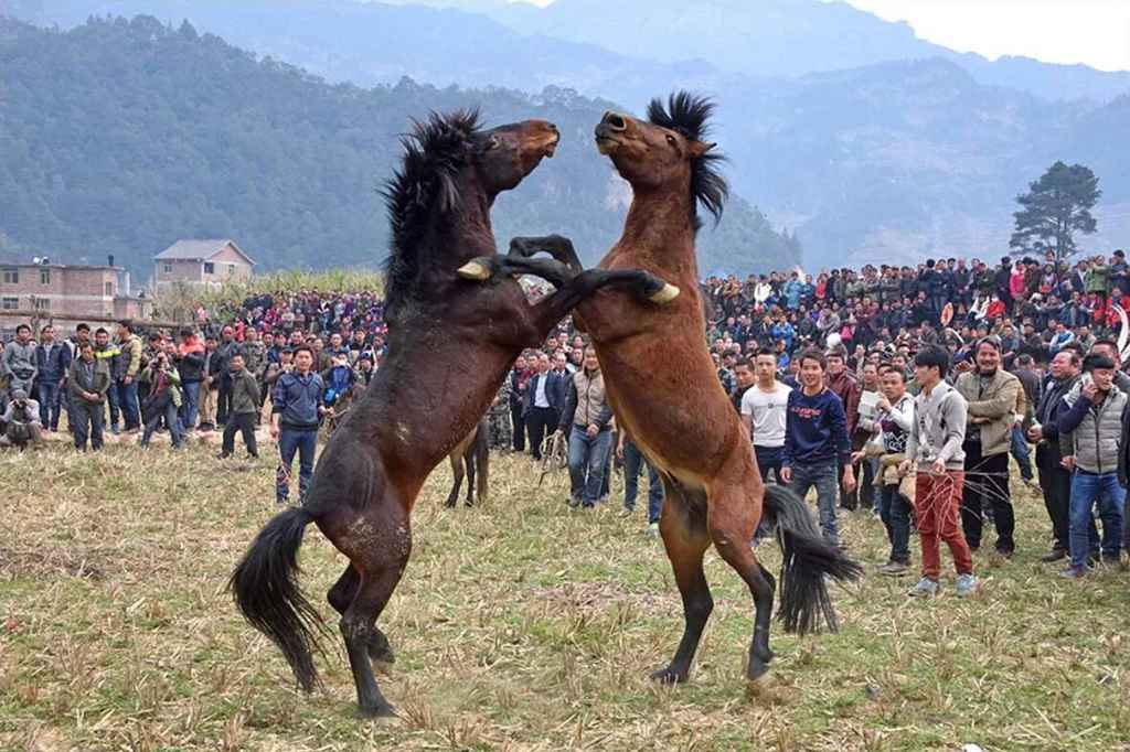 ���ڹ����콭��⡢��ˮ����ʮ���¡�ʮ���»����׷���6����Ӱ��