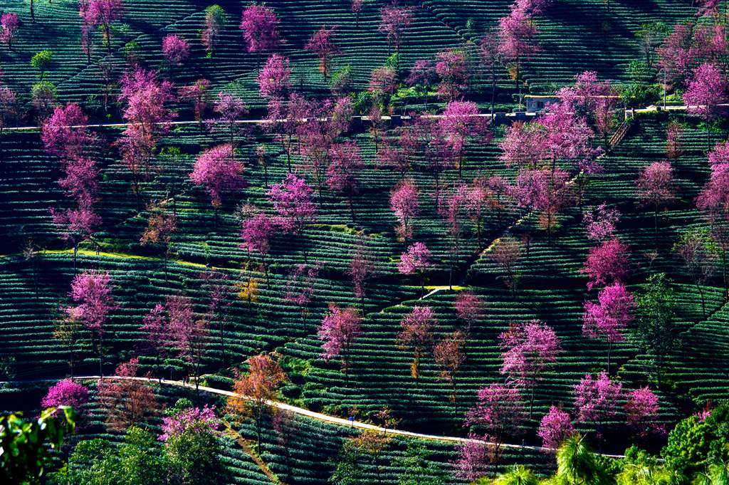 ����������+����˫ӣ������¤�ص�-�����-Ӣ����-�����-����ɽӣ��-����ӣ��-��¥Ⱥ��Ԫ��������Ӱ��