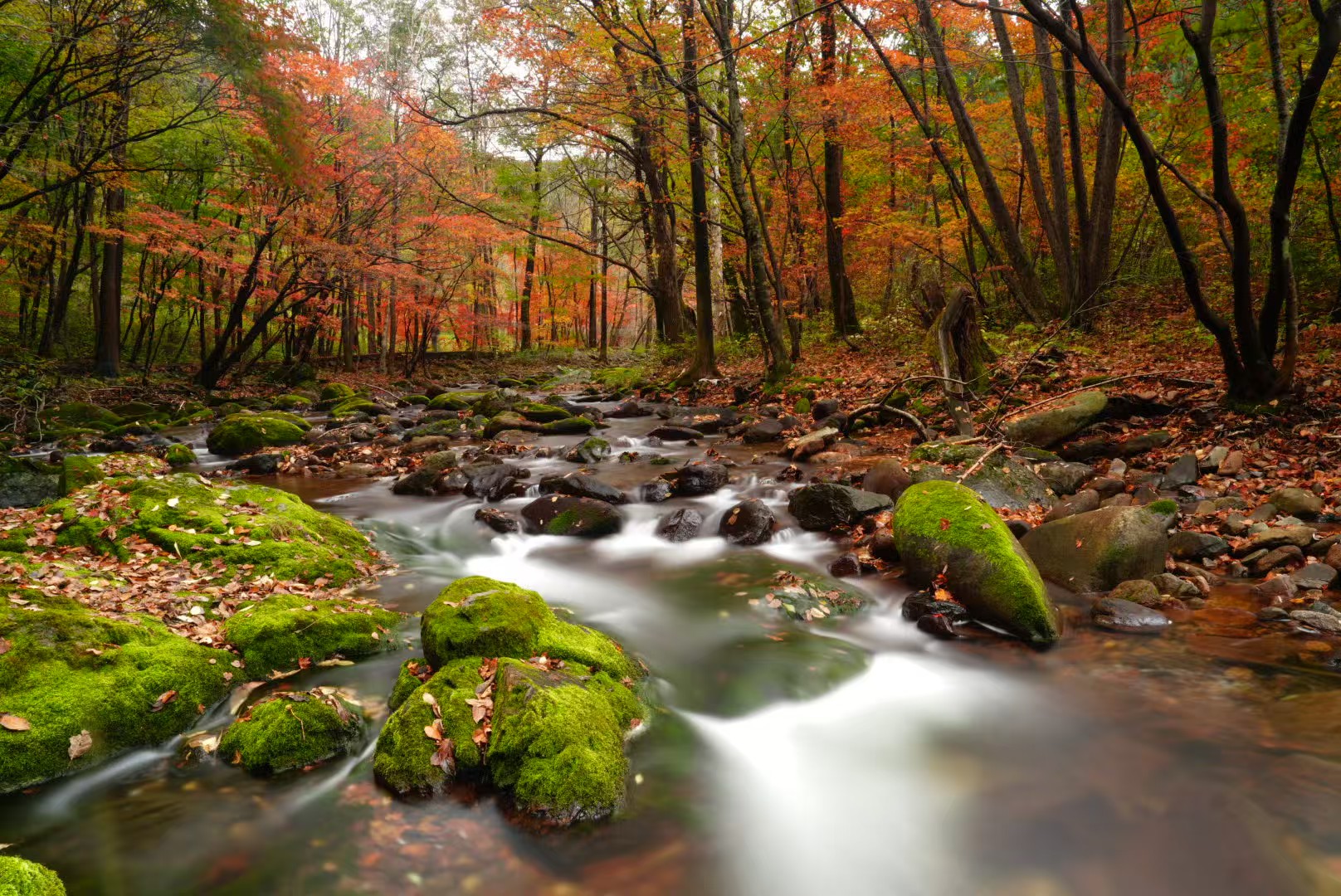 �����㵼�·���/�þ�ͷ����ɽ�����˼�