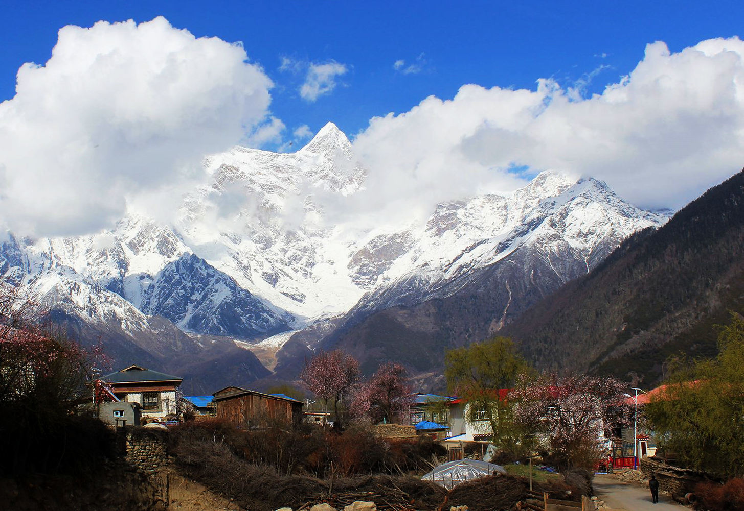 林芝,波密十里桃花,尼洋河,鲁朗风光,色季拉山高原风光旅拍团(报名