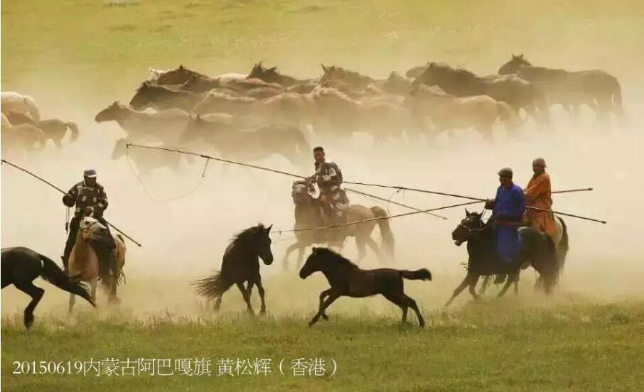 中国马都锡林郭勒初夏大型游牧文化摄影活动期待已久的摄影盛宴火热