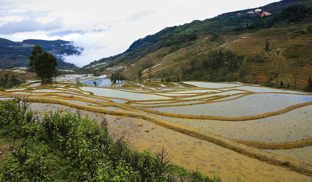 梦境元阳梯田(云雾黄草岭)