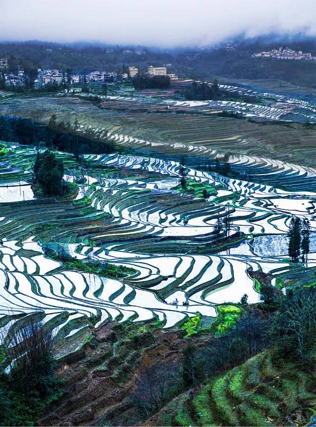 梦境元阳梯田(云雾黄草岭)