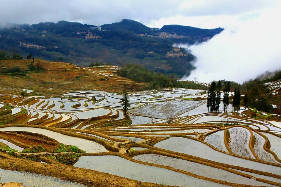 梦境元阳梯田(云雾黄草岭)