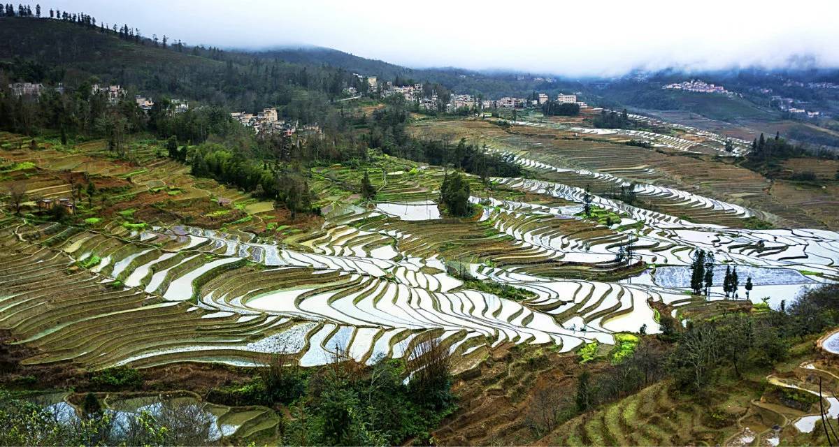 梦境元阳梯田(云雾黄草岭)