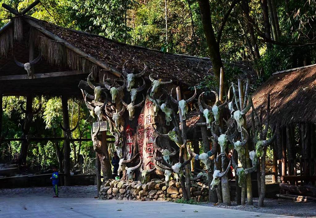 古村,云龙太极图,鲁史古镇,翁丁佤族原始群居村落旅拍团(正在报名)