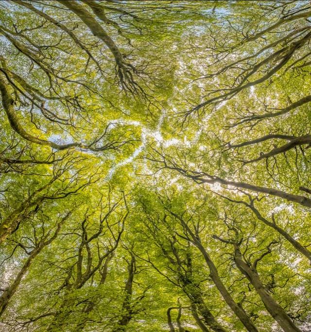大自然激发灵感,英国摄影师实拍国家公园,用镜头记录自然之美