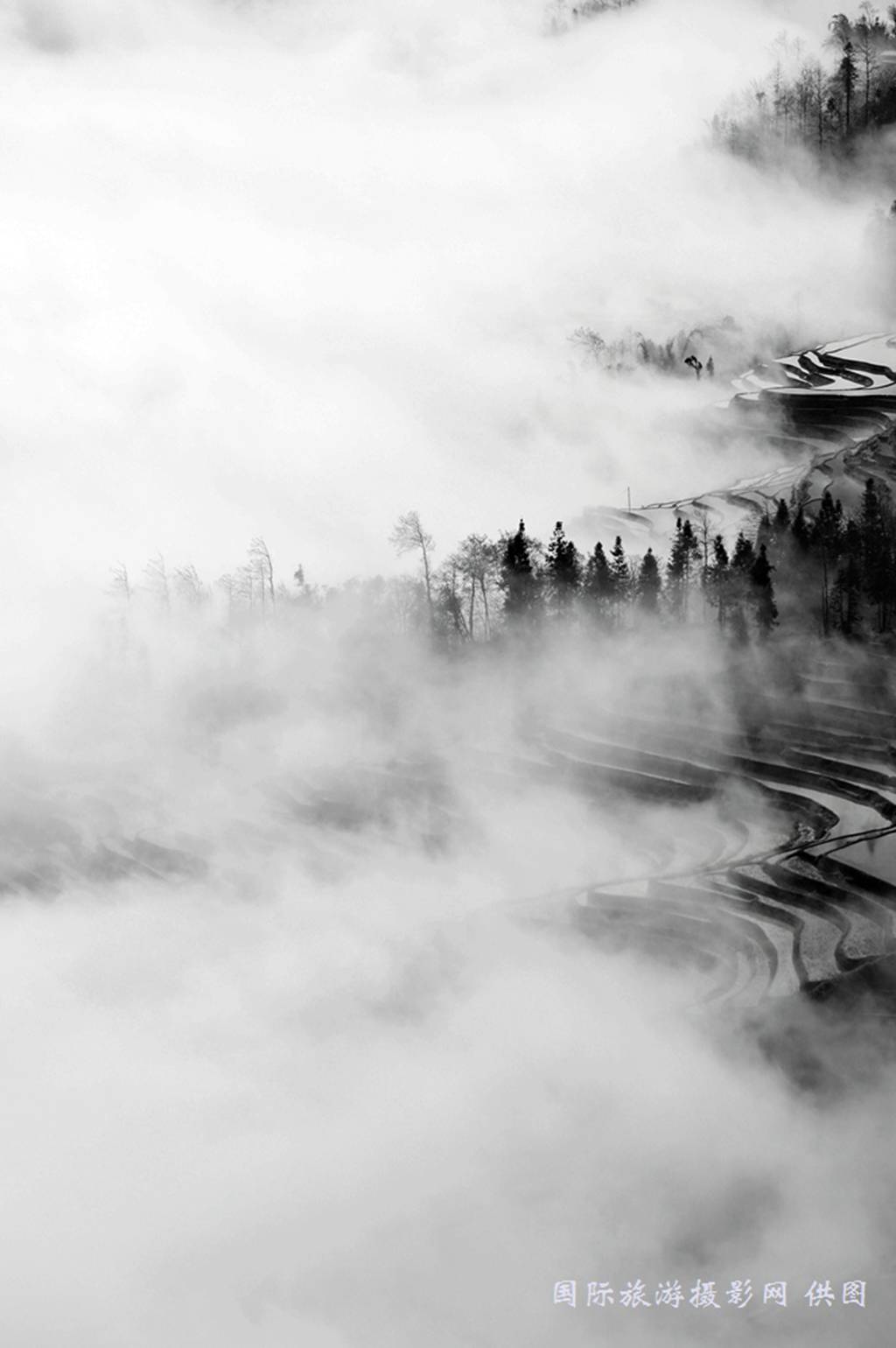 雾霾带给我们什么|摄影|人文/纪实|kbnba123 - 原创作品 - 站酷 (ZCOOL)