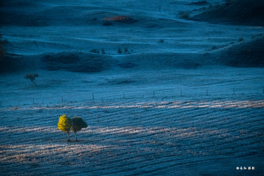 _DSC3303.jpg _DSC3303.jpg