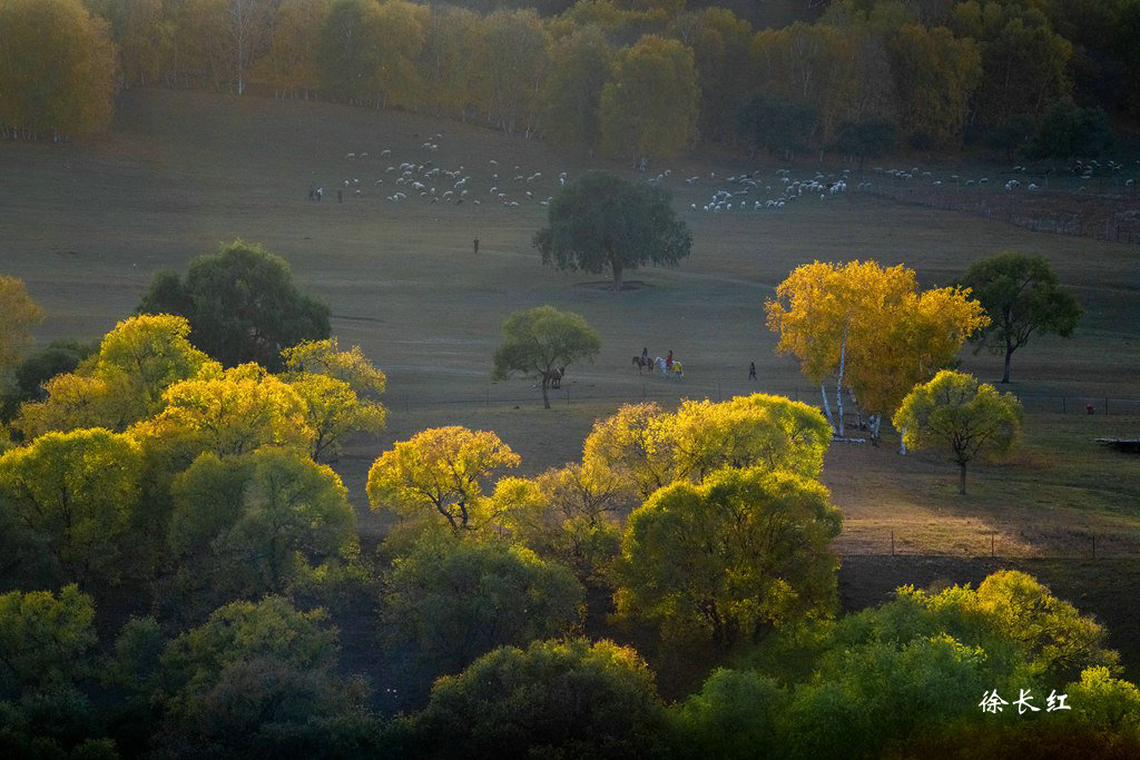 _DSC3018.jpg _DSC3018.jpg