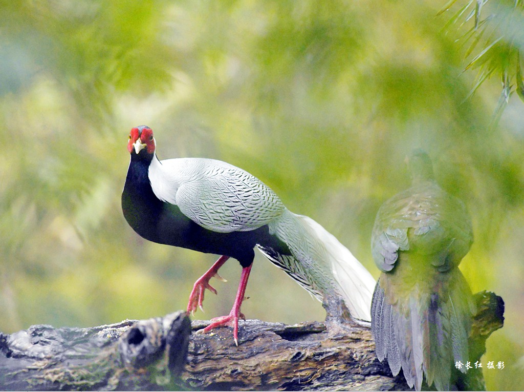 103ca3ded4dee03c.jpg 103ca3ded4dee03c.jpg