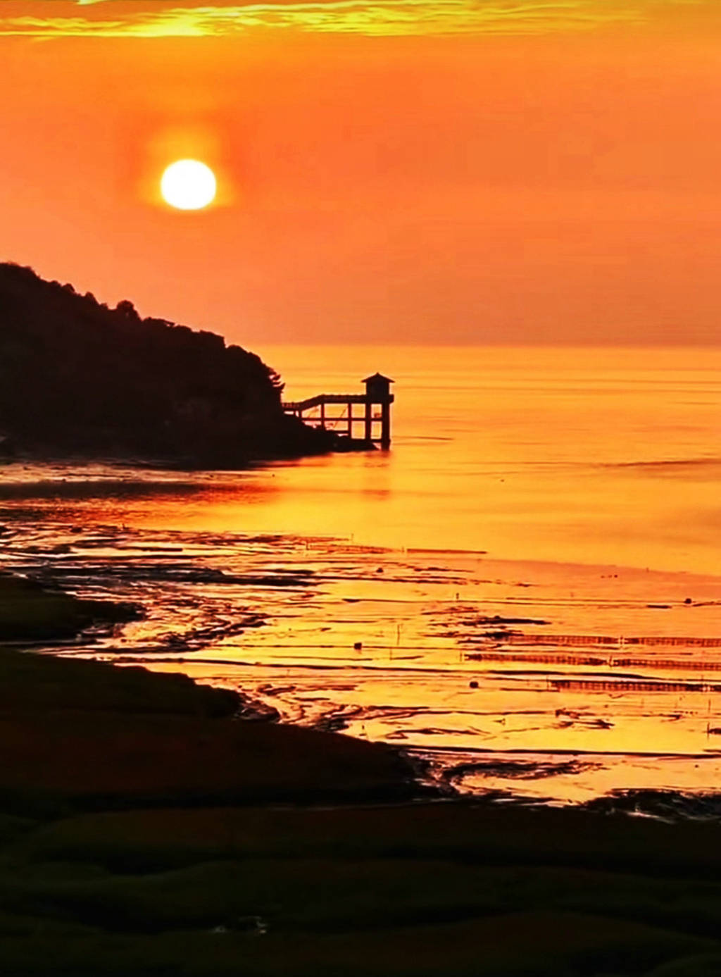 Screenshot_2024-09-12-18-07-47-24_e39d2c7de19156 (14).jpg