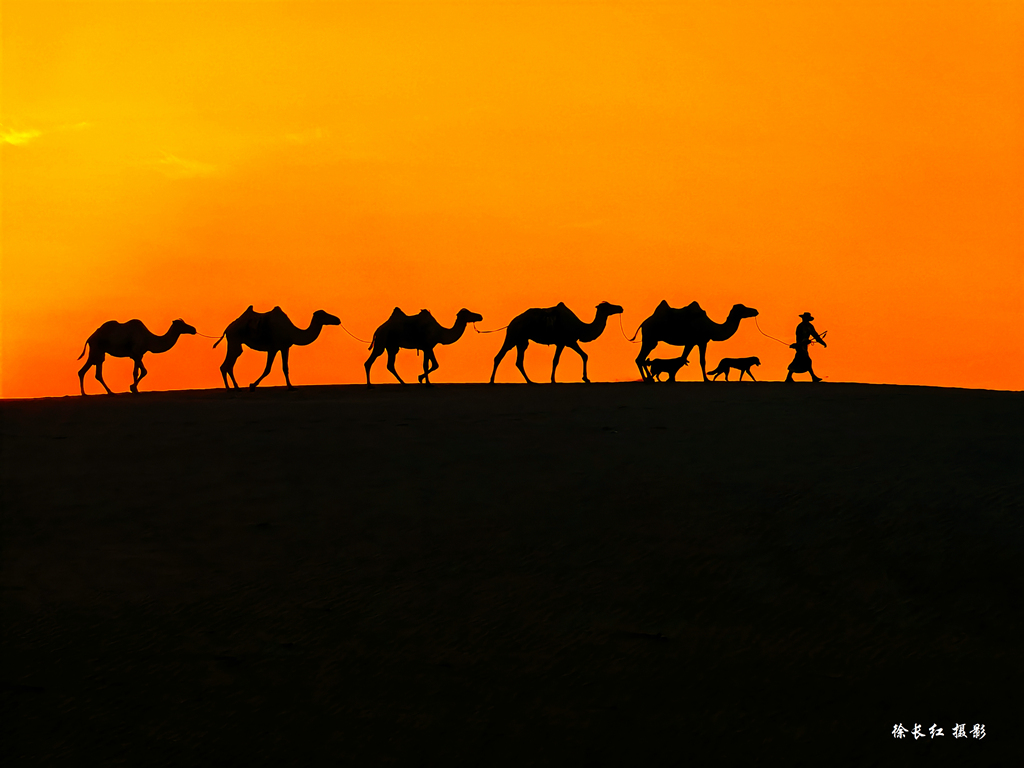 1000025840.jpg 1000025840.jpg