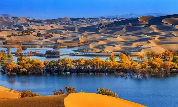 微信图片_20251002175615.jpg 微信图片_20251002175615.jpg