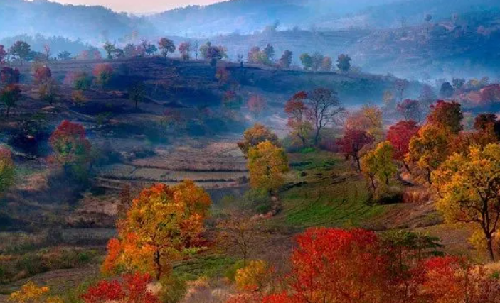 QQ浏览器截�?0251008181921.png QQ浏览器截�?0251008181921.png