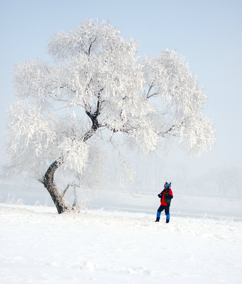 IMG_2559.jpg IMG_2559.jpg