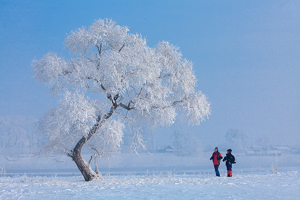 IMG_8333x.jpg IMG_8333x.jpg