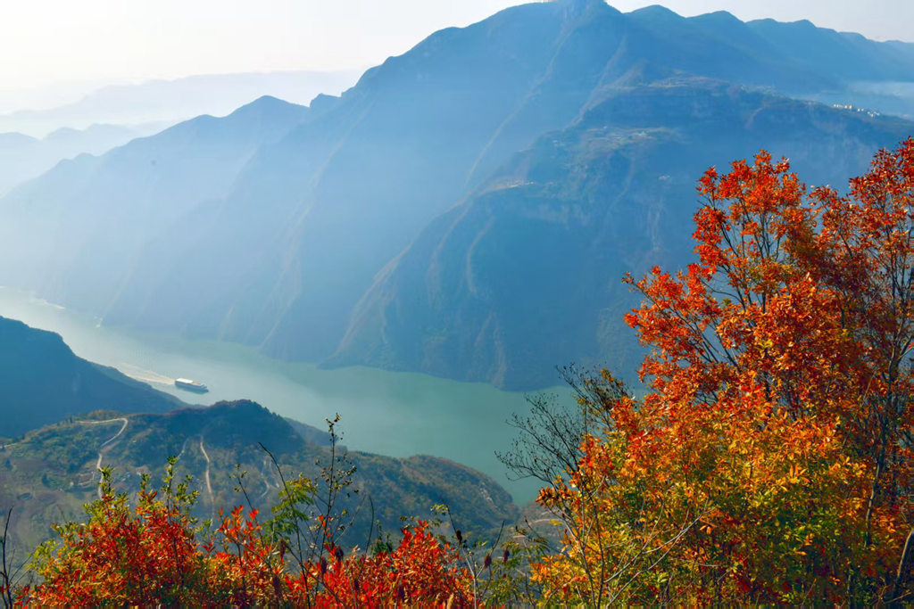 微信图片_20251201164943.jpg 微信图片_20251201164943.jpg