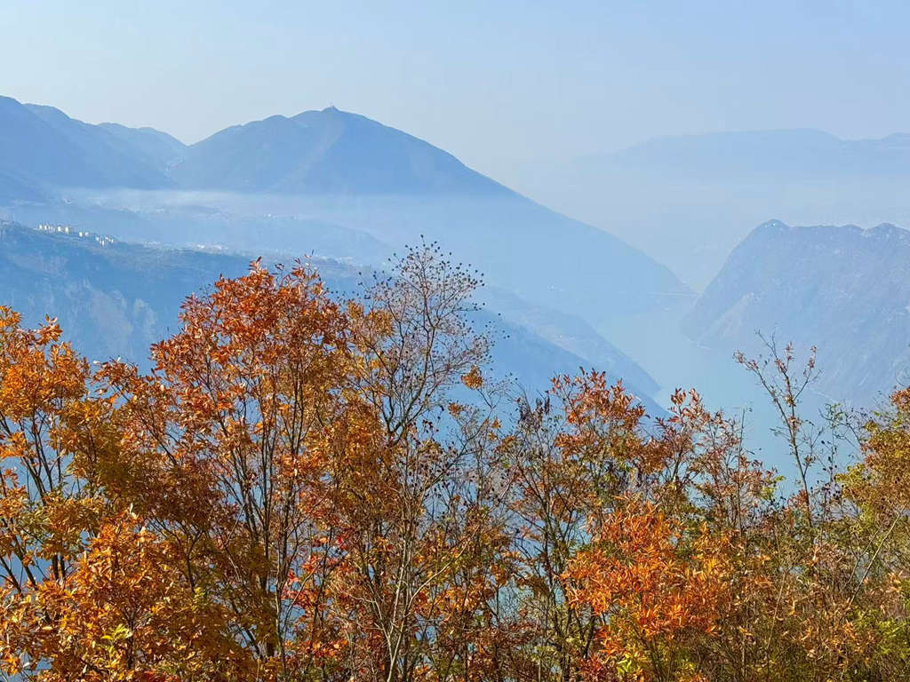 微信图片_20251201164955.jpg 微信图片_20251201164955.jpg