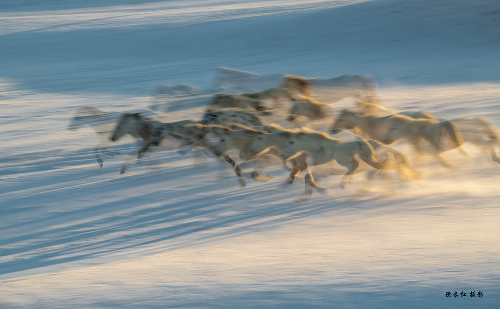 _DSC7294.jpg _DSC7294.jpg