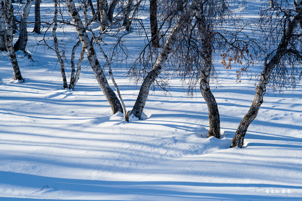 _DSC7433.jpg _DSC7433.jpg