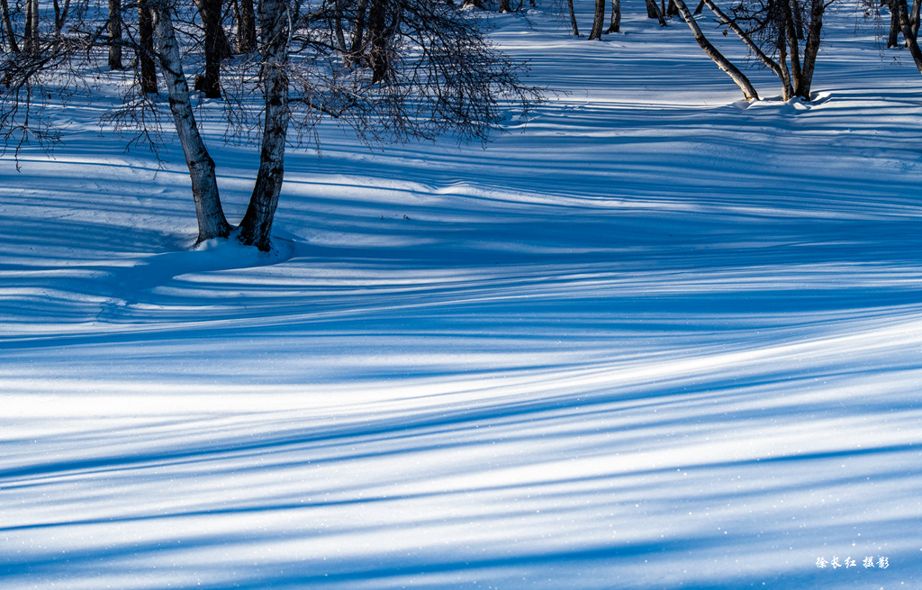 _DSC7423.jpg _DSC7423.jpg