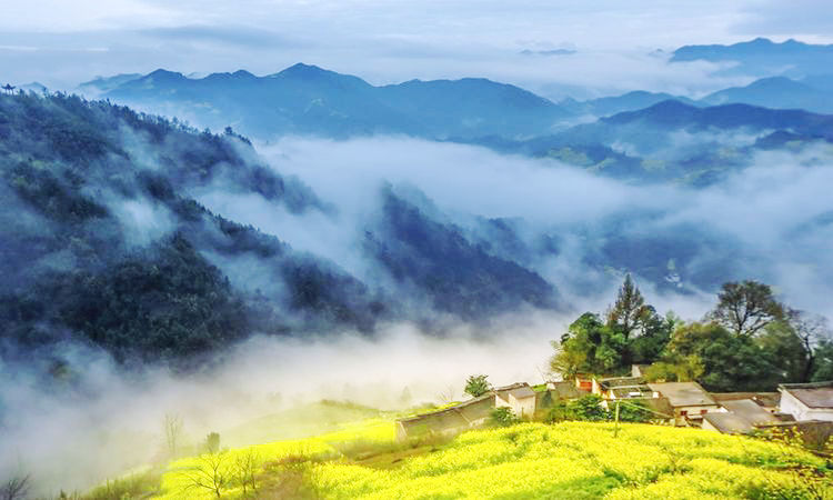 6e084183aabdc1b10900ee599c372531.jpg 6e084183aabdc1b10900ee599c372531.jpg