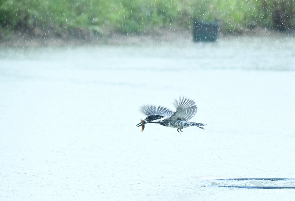 _DSC7621_副本.jpg _DSC7621_副本.jpg