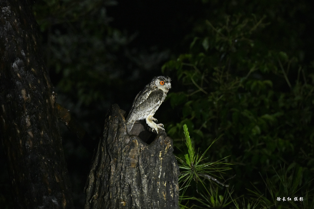 _DSC8499_副本.jpg _DSC8499_副本.jpg