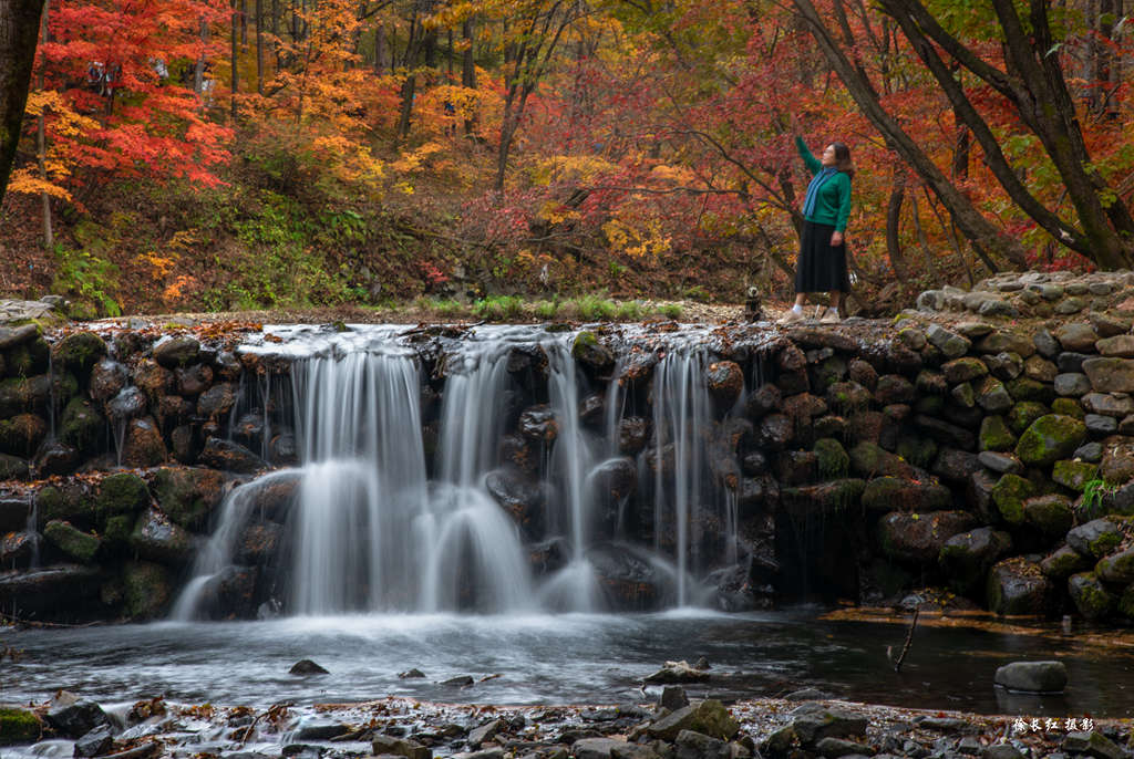 _DSC9527.jpg